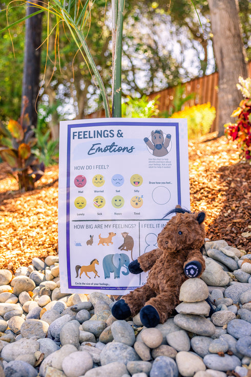 Feelings & Emotions Chart