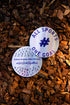 Holo Stickers