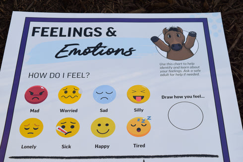 Feelings & Emotions Chart