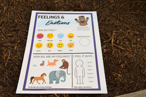 Feelings & Emotions Chart